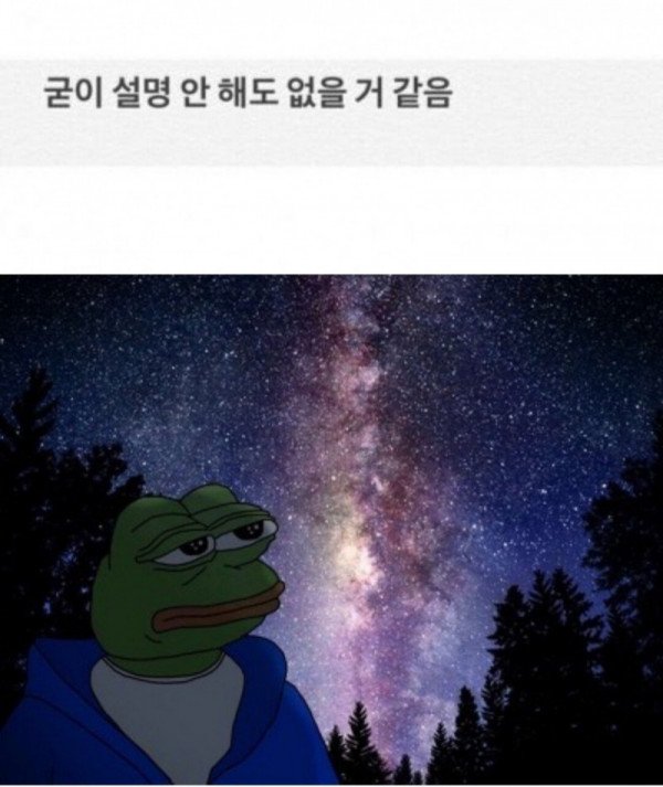 16506024210078.jpg