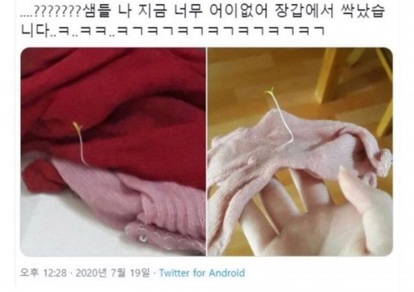 16507745598069.jpg